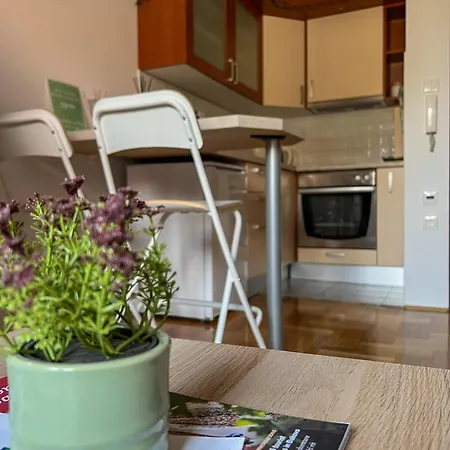 Appartement Twins Osijek - Private Parking Extérieur photo